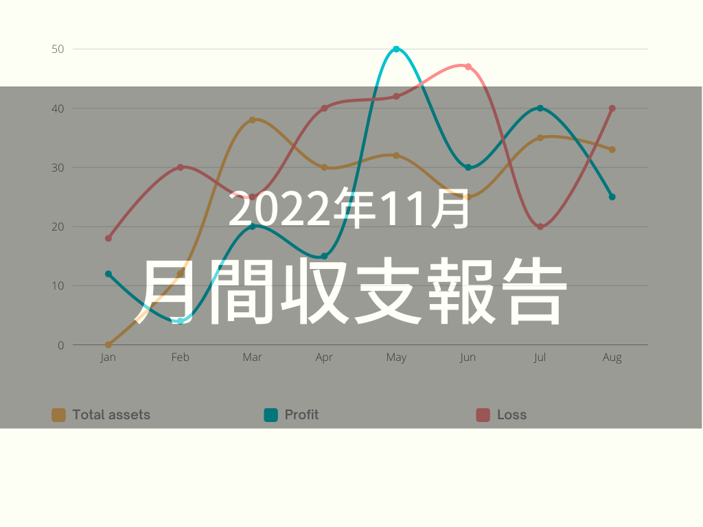 2022年11月月間収支報告